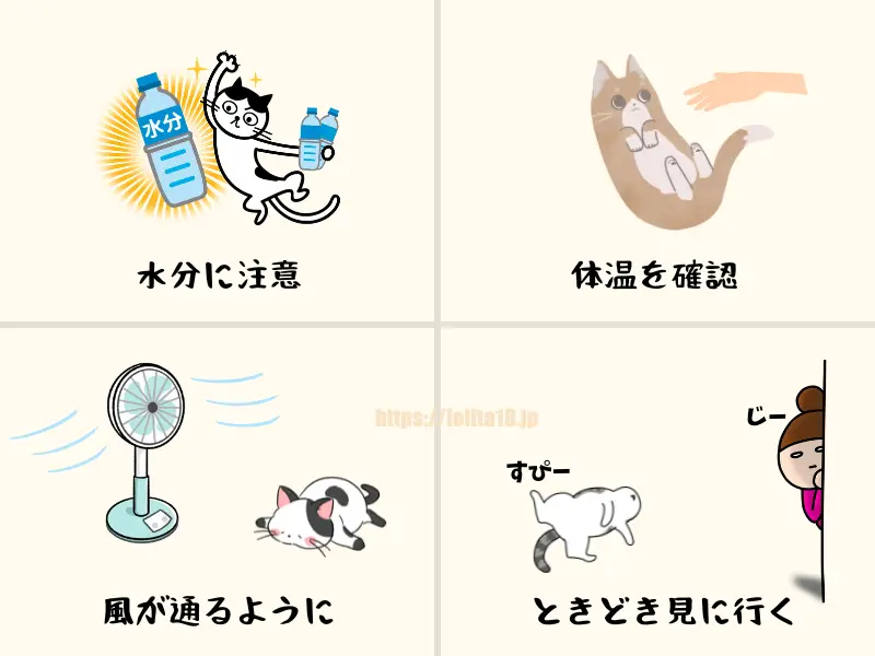 「猫が熱中症にならないように気をつける事」の図解イラスト画像