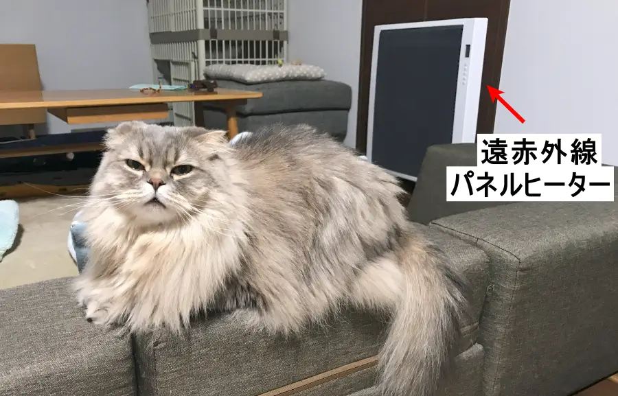 遠赤外線パネルヒーターと猫の画像