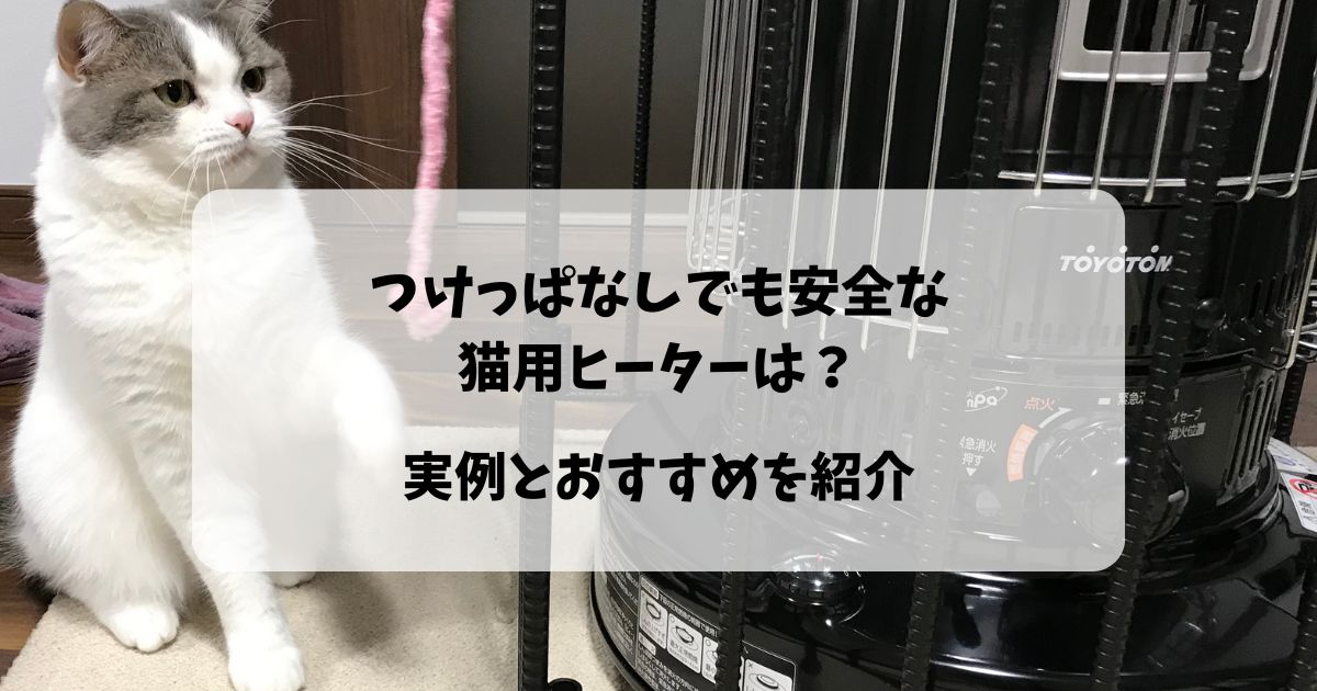 つけっぱなしでも安全な猫用ヒーターは？ 実例と共におすすめを紹介